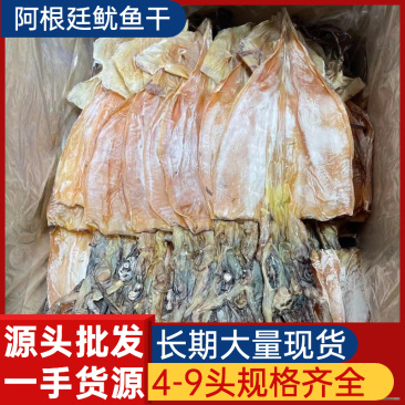 源头供应阿根廷鱿鱼干5-9头批发