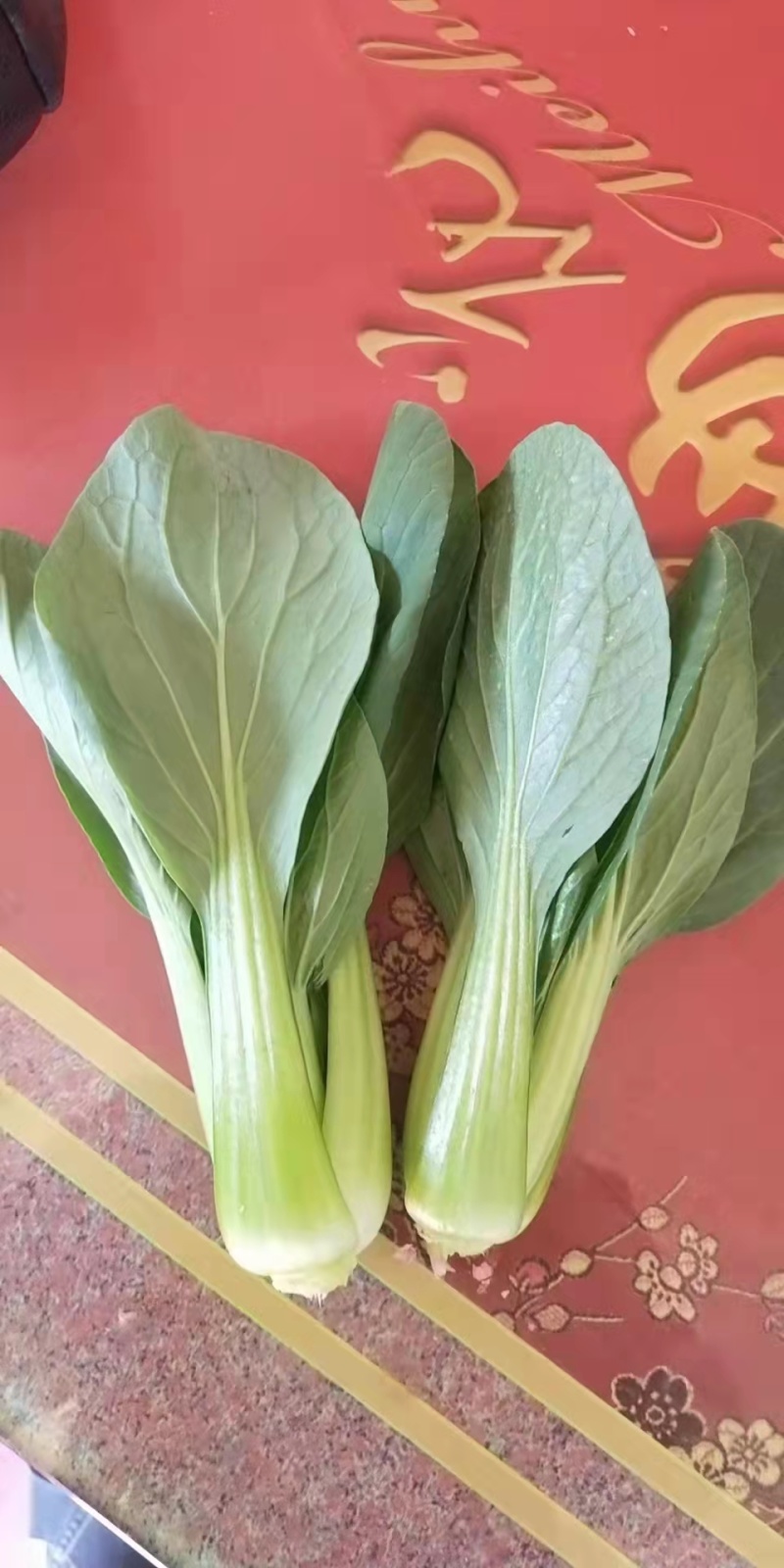 上海青长年有货质量保证量大优惠诚信经营，有需要的欢迎