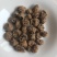 藕节生藕节选货干度好【康生堂】中药材批发供应