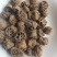 藕节生藕节选货干度好【康生堂】中药材批发供应