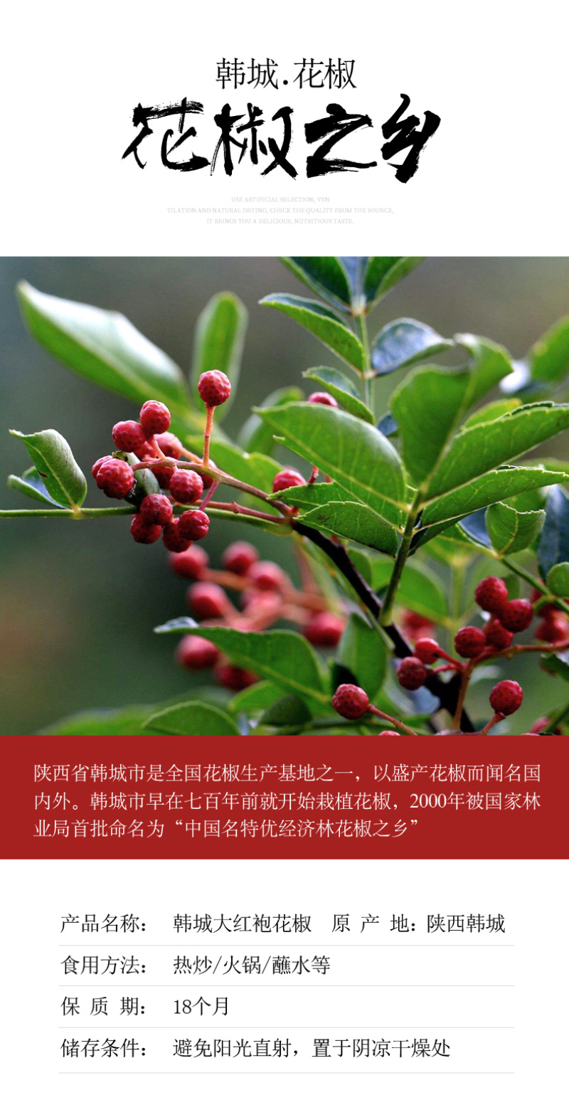 陕西韩城大红袍花椒，陕西大红袍花椒自然风干产地一手货源