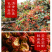 陕西韩城大红袍花椒,陕西大红袍花椒自然风干产地一手货源
