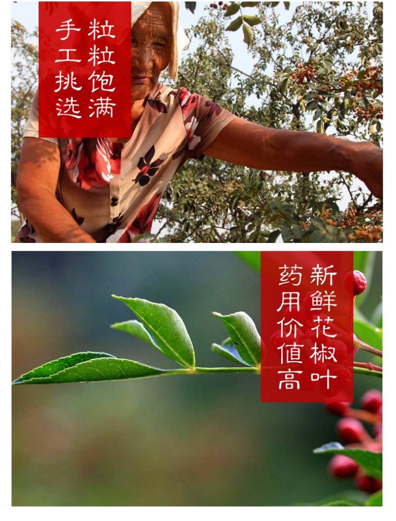 陕西韩城大红袍花椒，陕西大红袍花椒自然风干产地一手货源