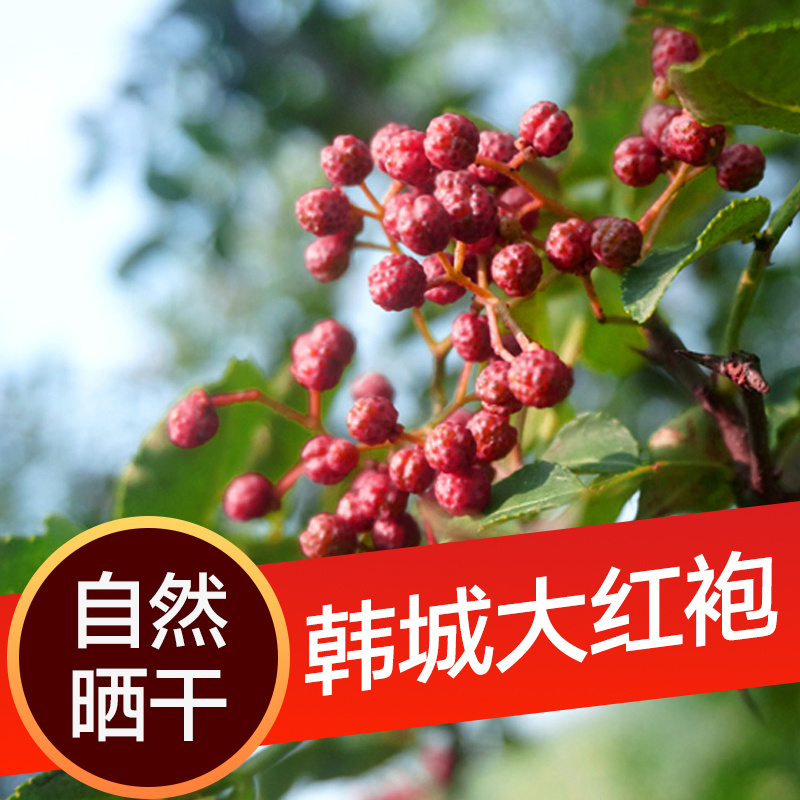 陕西韩城大红袍花椒，陕西大红袍花椒自然风干产地一手货源
