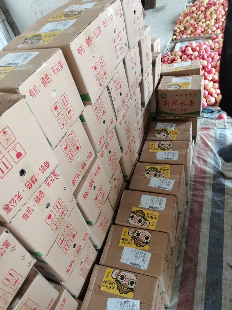 陕西韩城大红袍花椒，陕西大红袍花椒自然风干产地一手货源