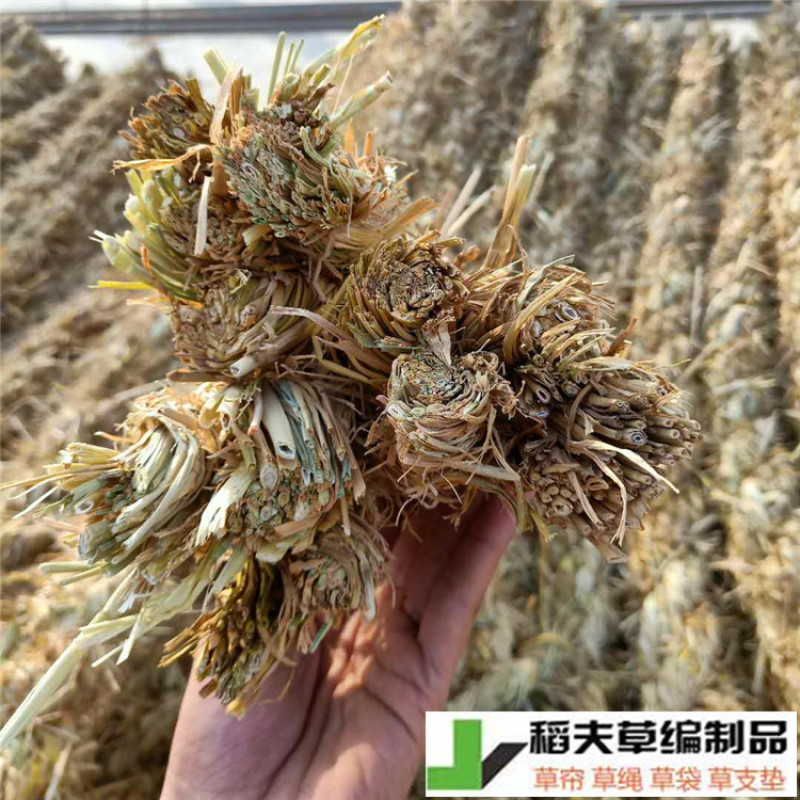 稻夫草棒稻草绳把绿化隔档夹层用园林护坡隔档防滑