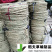 稻夫草绳稻草绳园林绿化包树花木苗木移栽包扎土球陶瓷厂