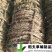 稻夫粗草绳毛绳防风固沙用治沙用防风沙障水泥板隔层