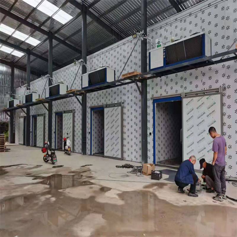 德阳冻库报价,广汉小型冷库,什邡冷库,绵竹冷冻库