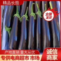 【茄子】大龙长茄产地直销量大从优品质保证全国发货