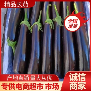 【茄子】大龙长茄产地直销量大从优品质保证全国发货