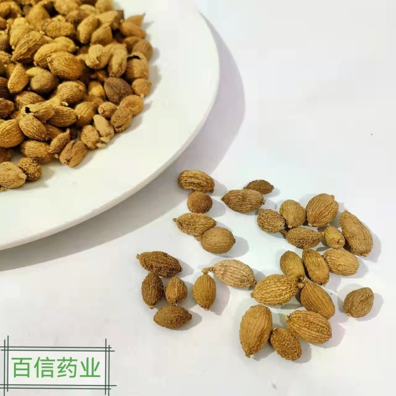 砂仁壳砂仁规格齐全，中药材批发基地直采一手货源