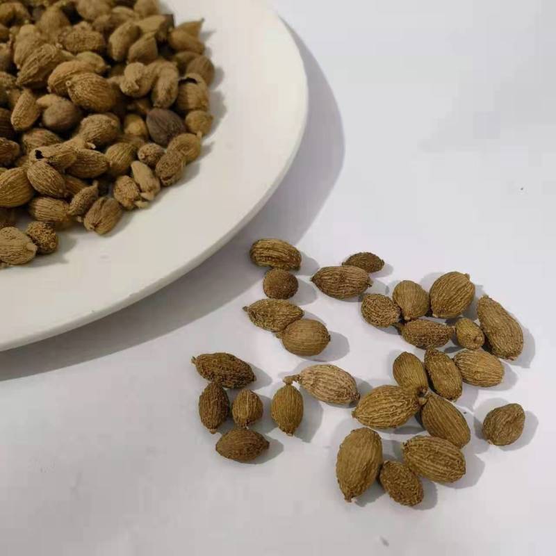 砂仁壳砂仁规格齐全，中药材批发基地直采一手货源