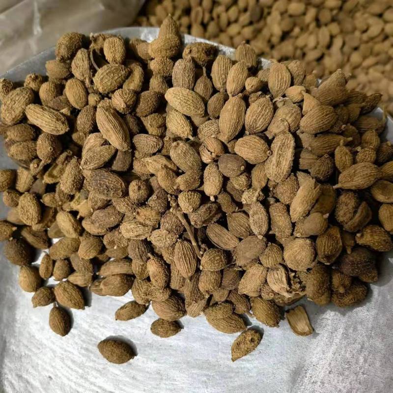 砂仁壳砂仁规格齐全，中药材批发基地直采一手货源