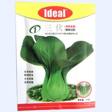抗热青梗菜种子理想三伏优质丰产耐热耐涝农家夏秋播种精选青