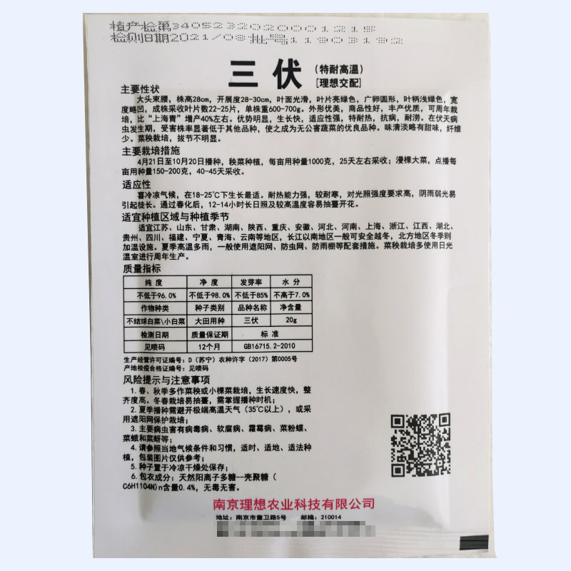 抗热青梗菜种子理想三伏优质丰产耐热耐涝农家夏秋播种精选青