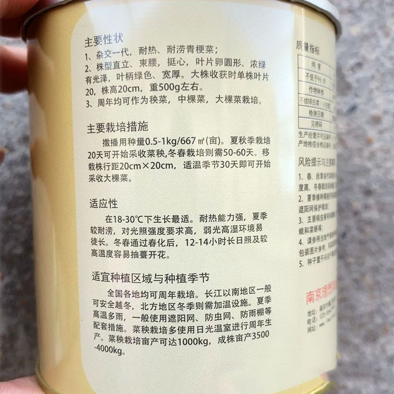 理想热火九号青梗菜种子优质高产耐热耐湿商品性春夏秋