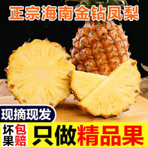 海南金钻凤梨手撕菠萝新鲜水果产地代办一件
