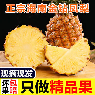 海南金钻凤梨手撕菠萝新鲜水果产地代办一件代发
