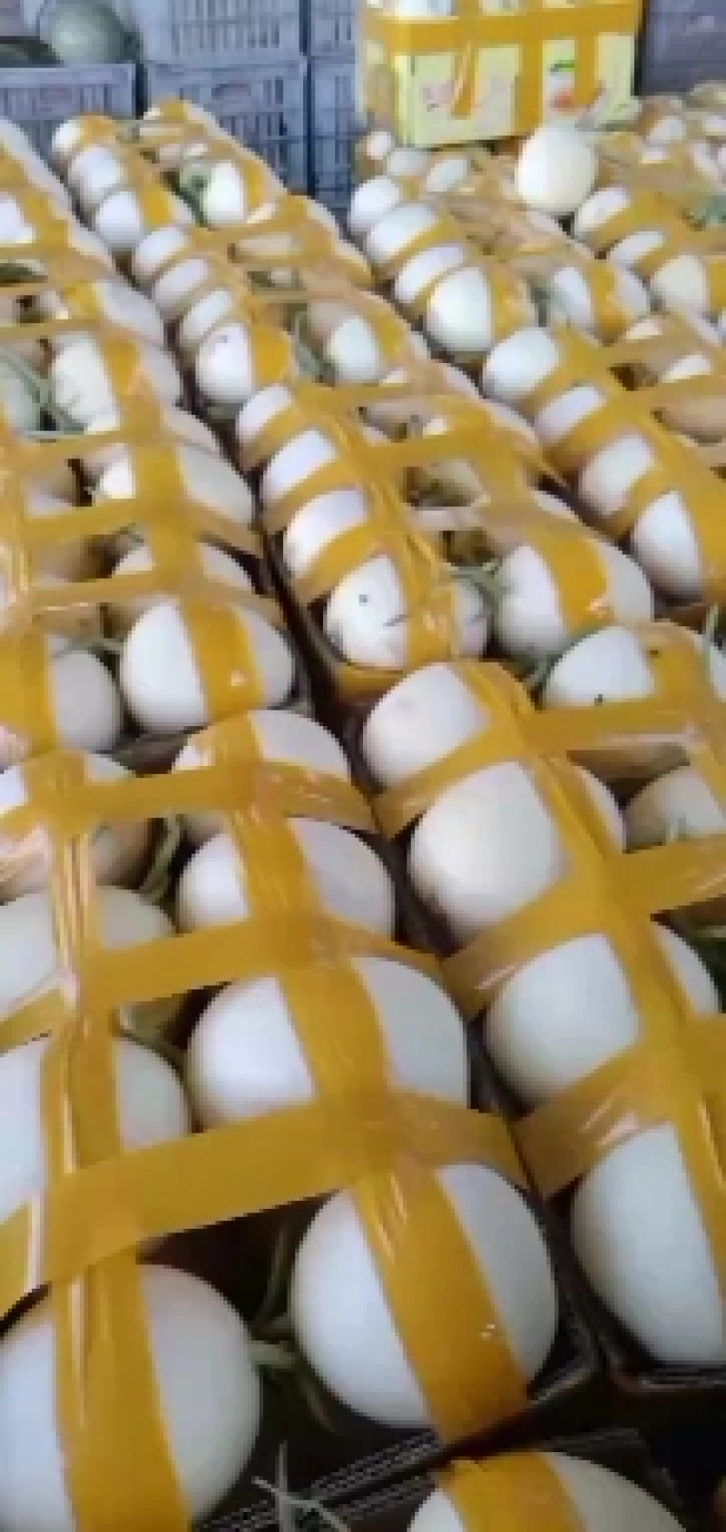 精品甜红玉大量上市，口感好，甜度高，个头均匀，皮面干净