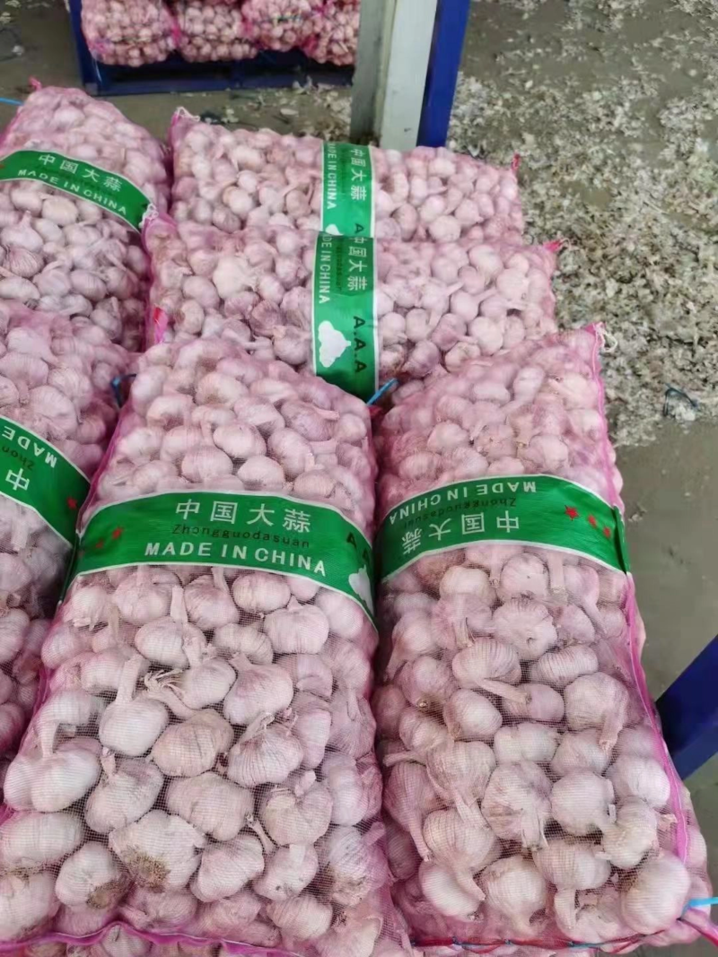 河南大蒜新鲜干蒜适用于走市场代发全国