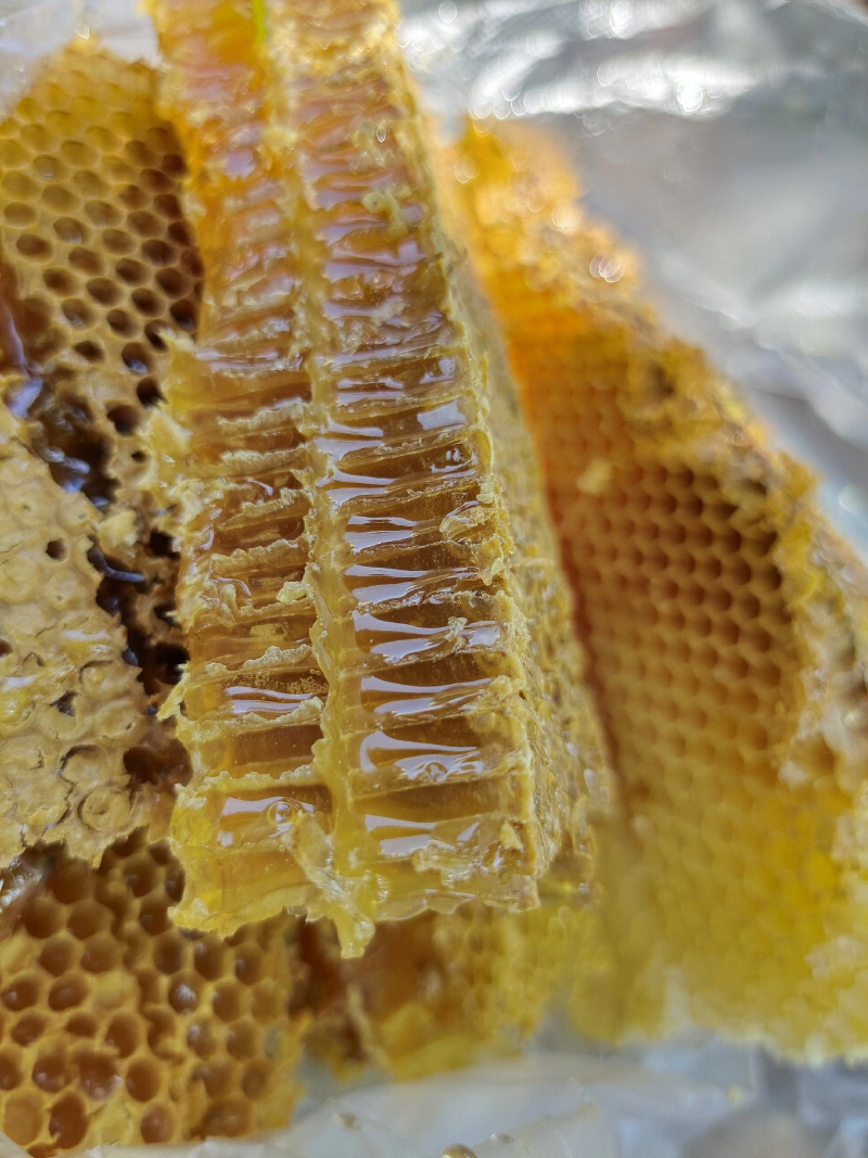中蜂油菜花蜜没添加任何成分100%纯蜂蜜不掺假