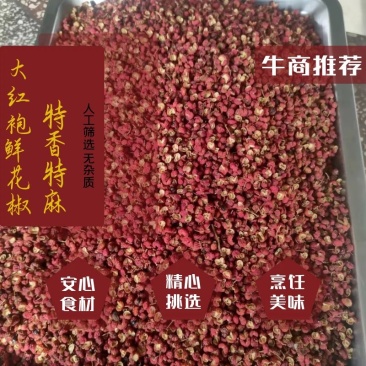 【包邮】陕西优质大红袍花椒香麻量大价优保质保量欢迎选