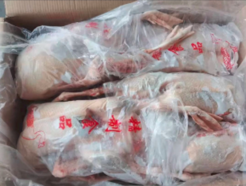 白条鸭一手货源价格低廉全程冷链车发货运费便宜发内蒙东北