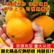 湖北精品脐橙伦晚脐橙现摘现发纯甜多汁产地直供可视频看货