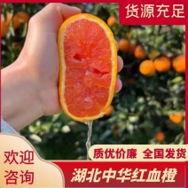 【血橙】湖北精品血橙中华红血橙果大皮薄水分充足一手货