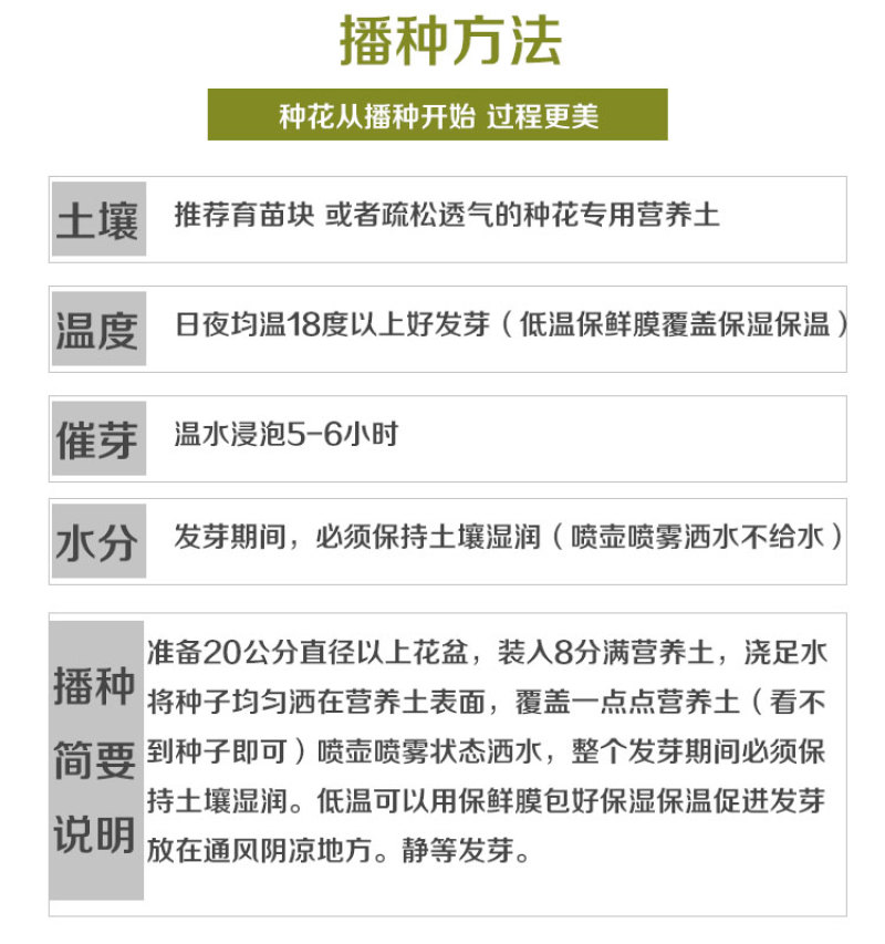 千日红种子千日紫粉白种子四季开花庭院别墅路边景观绿化
