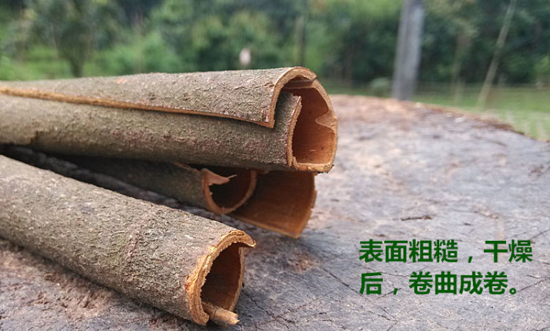 高要肉桂桂通中药材去皮桂皮卤肉料火锅调料烟桂