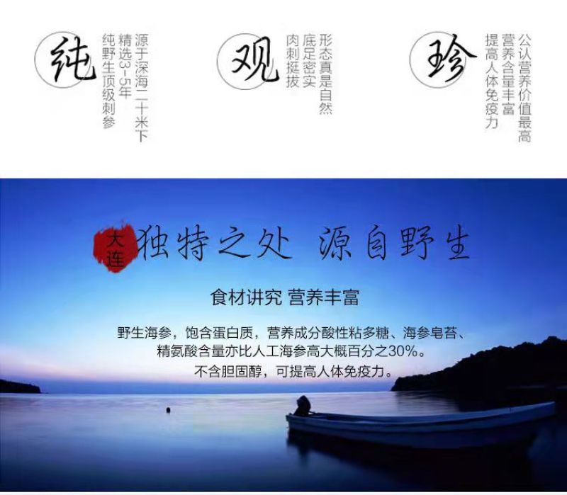 珍品堂-浅海小精灵海参-20头