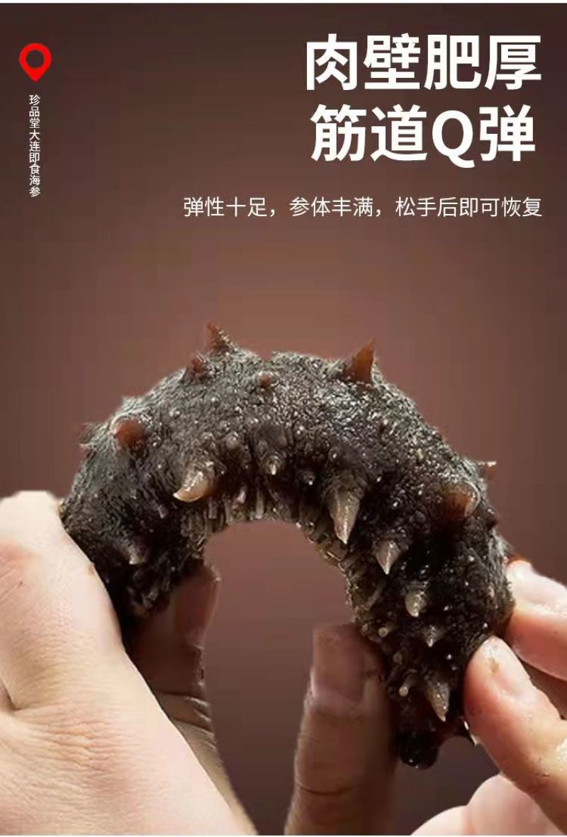 珍品堂-浅海小精灵海参-20头