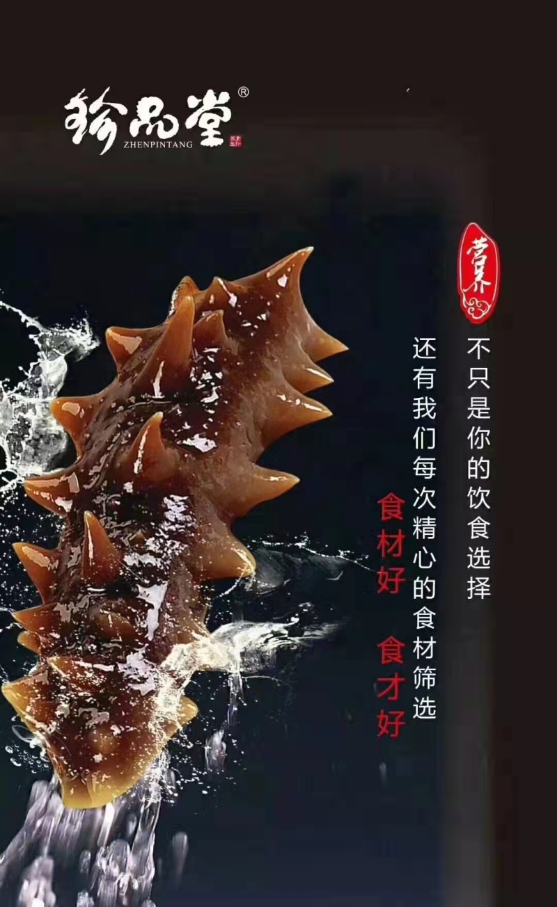 珍品堂-浅海小精灵海参-20头