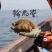 珍品堂-浅海小精灵海参-20头