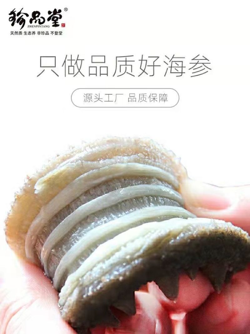 珍品堂-浅海小精灵海参-20头