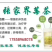 张家界藤茶嫩芽明前野生自产自销回味悠长