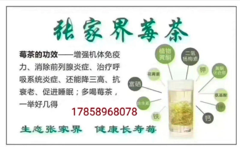 张家界藤茶嫩芽明前野生自产自销回味悠长