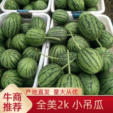 西瓜小糖丸西瓜全美2k西瓜小吊瓜基地直发