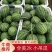 西瓜小糖丸西瓜全美2k西瓜小吊瓜基地直发