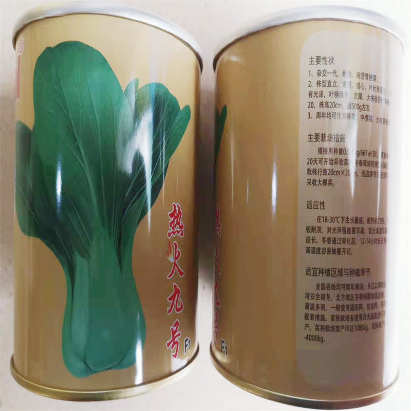 热火九号青梗菜种子上海青种子鸡毛菜高产小白菜油菜种子耐热