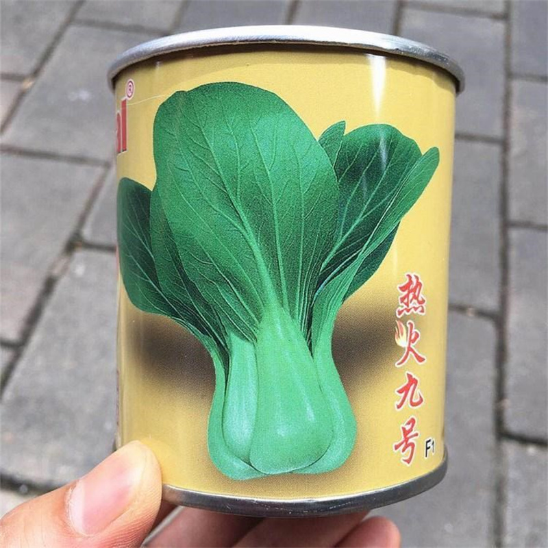 热火九号青梗菜种子上海青种子鸡毛菜高产小白菜油菜种子耐热