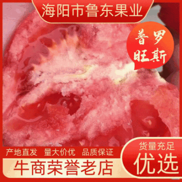 山东烟台海阳普罗旺斯西红柿团购微商电商供应链水果