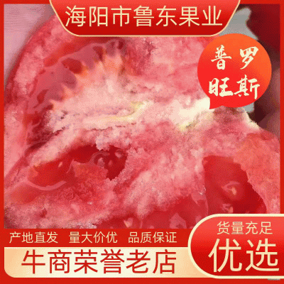 山东烟台海阳普罗旺斯西红柿团购微商电商供应链水果