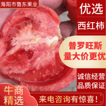 山东海阳普罗旺斯西红柿水果西红柿沙瓤团购礼盒包装