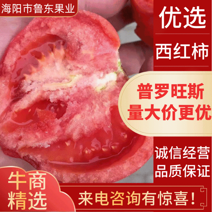 山东海阳普罗旺斯西红柿水果西红柿沙瓤团购礼盒包装