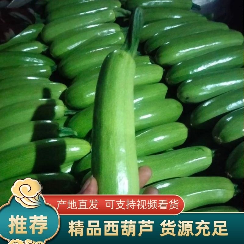 山东省聊城市东昌府区绿皮西湖芦，大量上市，价格不高