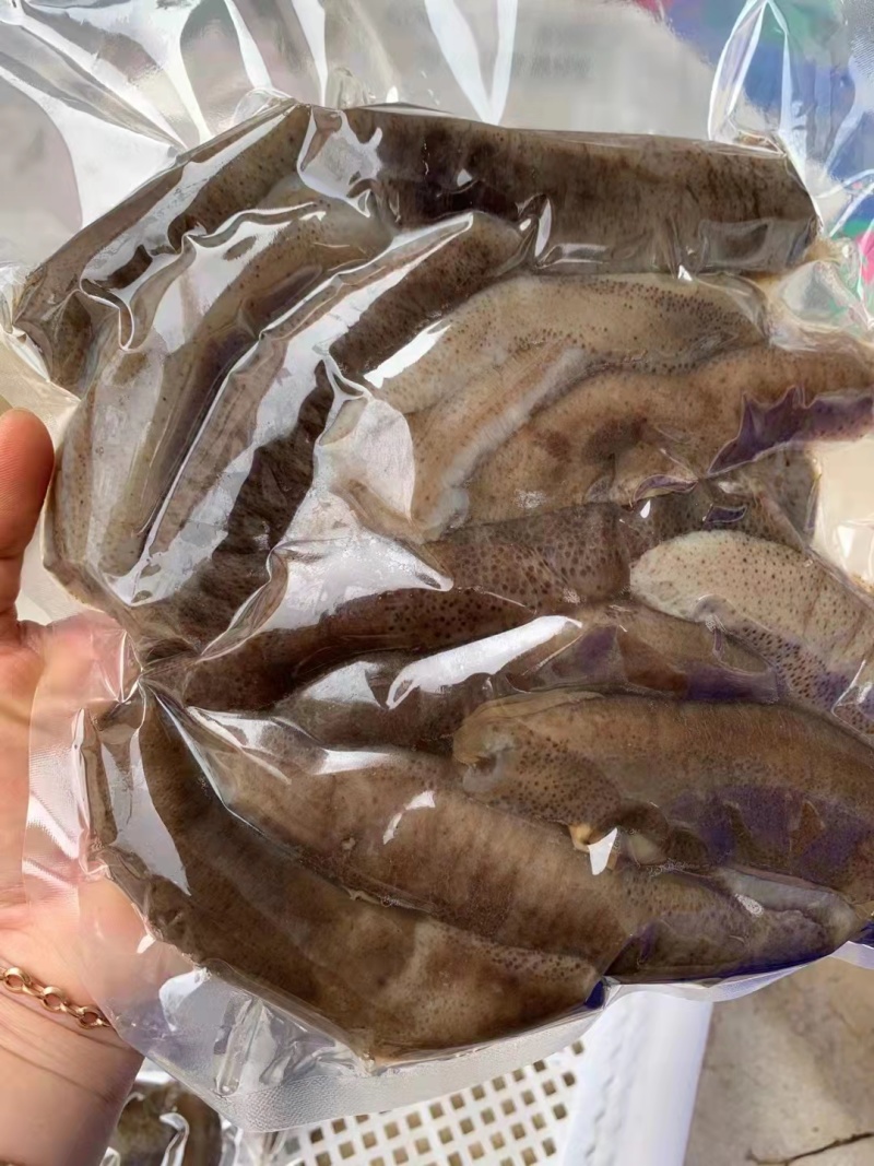 【精品】潭门本地黑海参产地直销品质保证欢迎选购