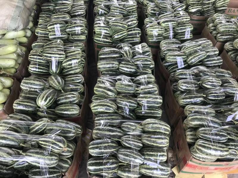 精品博洋9号大量上市‼️产地直销品质保证‼️